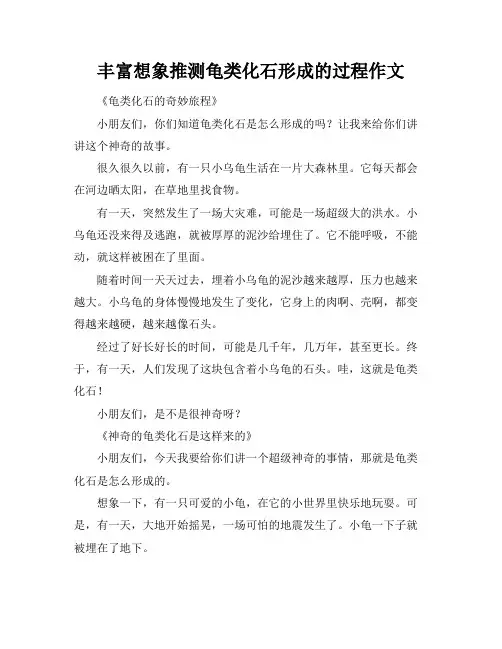 丰富想象推测龟类化石形成的过程作文