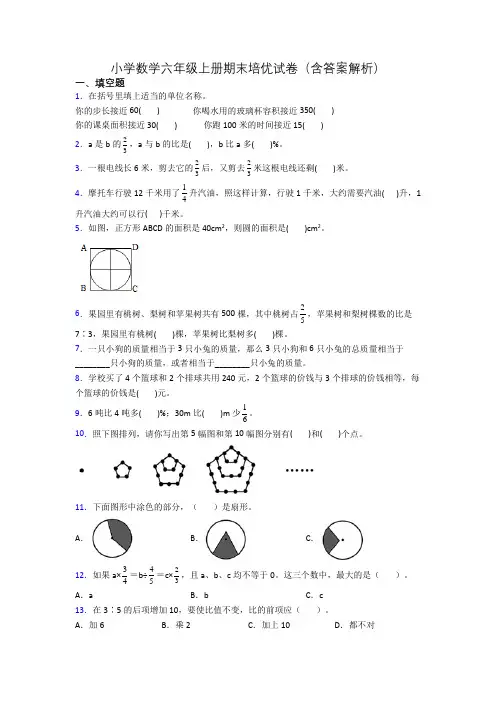 小学数学六年级上册期末培优试卷(含答案解析)