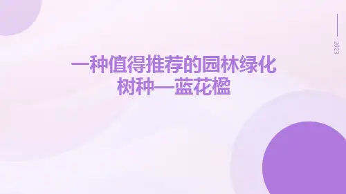 一种值得推荐的园林绿化树种—蓝花楹