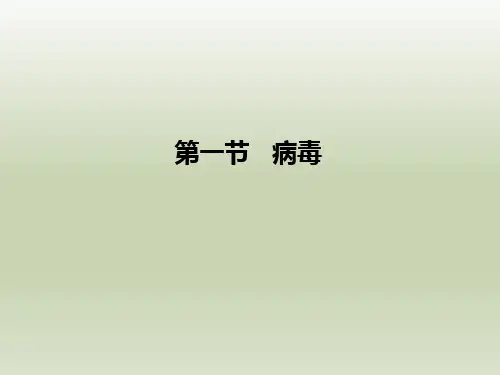 七年级生物上册第一节《病毒》参考课件