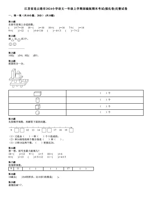 江苏省连云港市2024小学数学一年级上学期部编版期末考试(强化卷)完整试卷