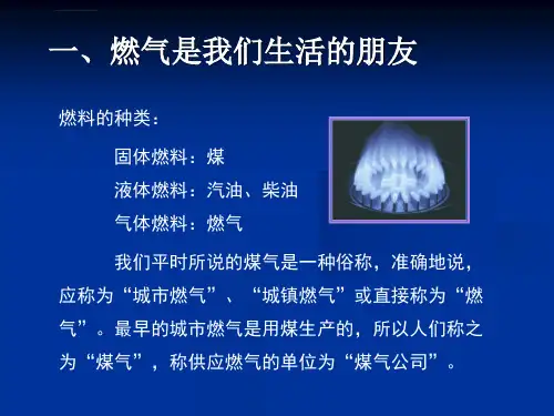 燃气安全使用常识ppt课件