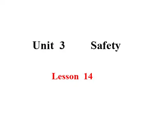 九年级英语上册 Unit 3 Safety Lesson 14 Accidents H