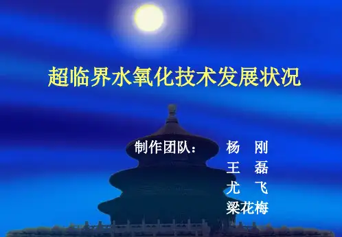 超临界水氧化技术发展状况