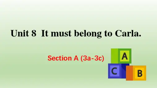 九人英上册教学课件-Unit 8 Section A (3a-3c)