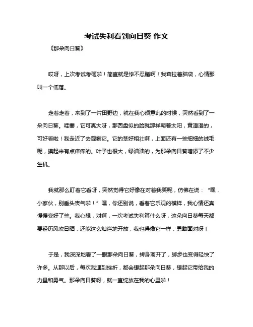 考试失利看到向日葵 作文