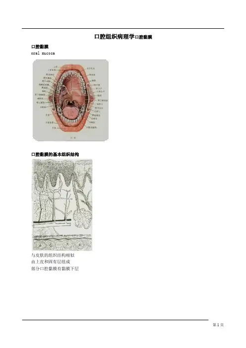 口腔组织病理学口腔黏膜