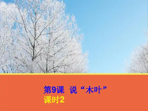 高中语文说木叶课件PPT 