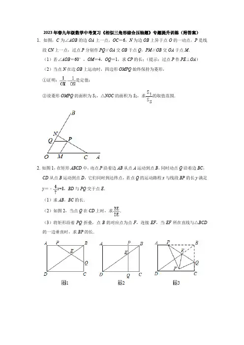 2023年九年级数学中考复习《相似三角形综合压轴题》专题提升训练