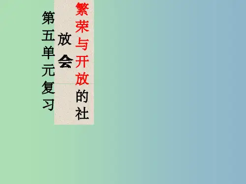 七年级历史下册《第五单元 繁荣与开放的社会》复习 岳麓版