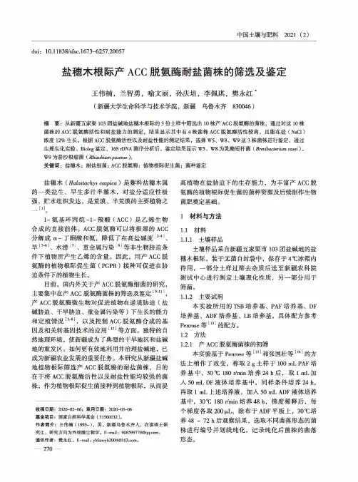 盐穗木根际产ACC脱氨酶耐盐菌株的筛选及鉴定