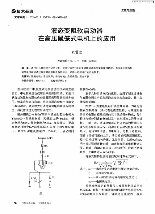液态变阻软启动器在高压鼠笼式电机上的应用
