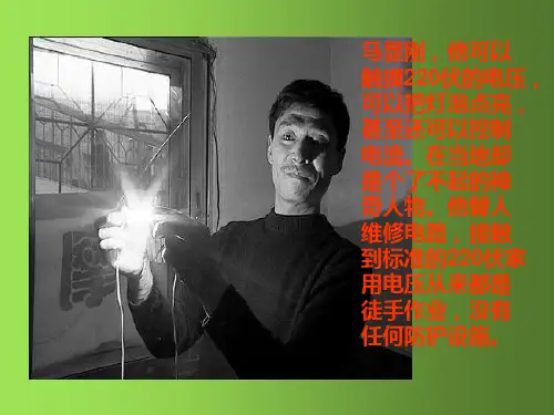 九年级物理全册 19.3 安全用电课件 (新版)新人教版(3)