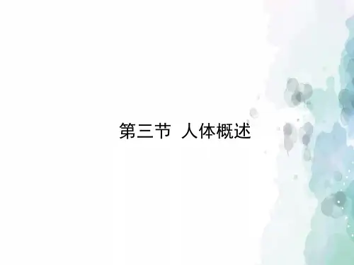苏教版-生物-七年级下册-《人体概述》讲授型课件