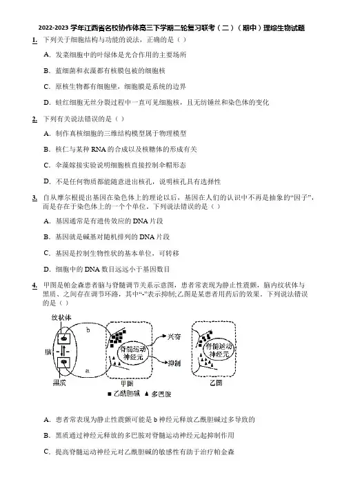 2022-2023学年江西省名校协作体高三下学期二轮复习联考(二)(期中)理综生物试题