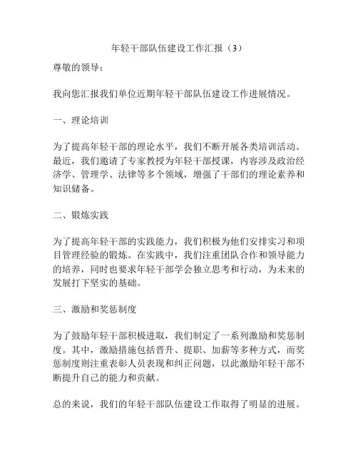 年轻干部队伍建设工作汇报(3)