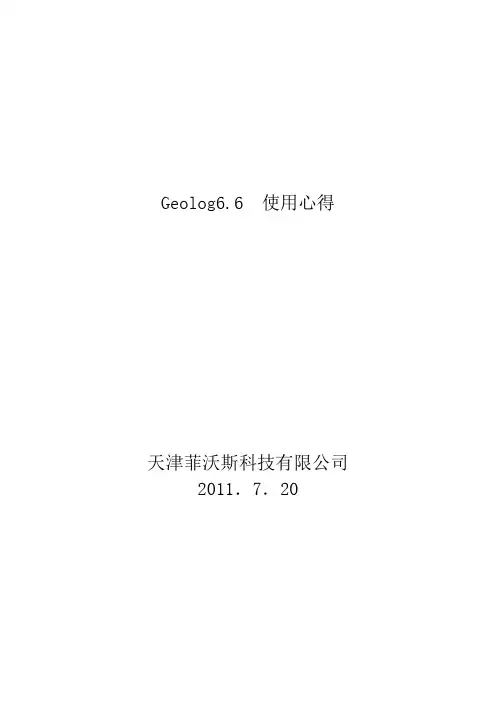 Geolog6使用心得体会