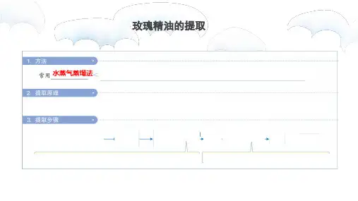 生物选修一专题六植物有效成分的提取一轮复习ppt课件