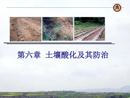土壤酸化及其防治