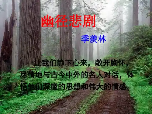 《幽径悲剧》ppt课件优秀课件