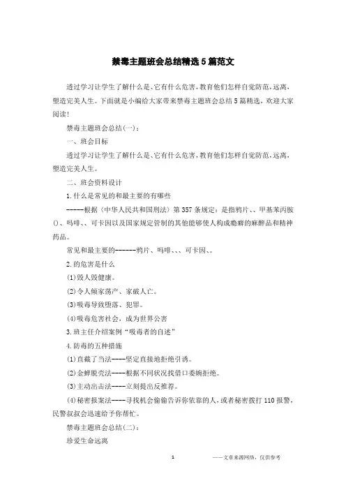 禁毒主题班会总结精选5篇范文
