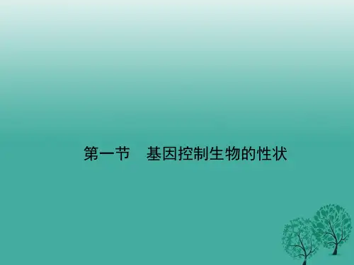 春八年级生物下册第七单元第二章第一节基因控制生物的性状课件人教版 (共28张PPT)