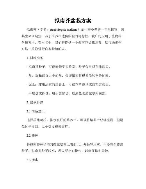 拟南芥盆栽方案