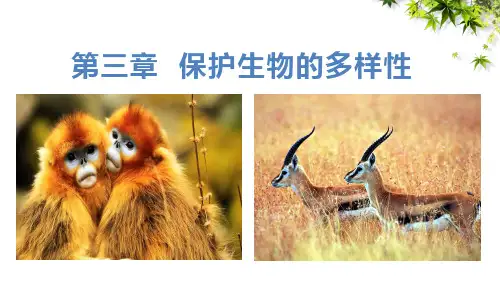 6.3保护生物的多样性