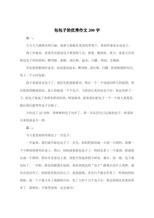 包包子的优秀作文200字