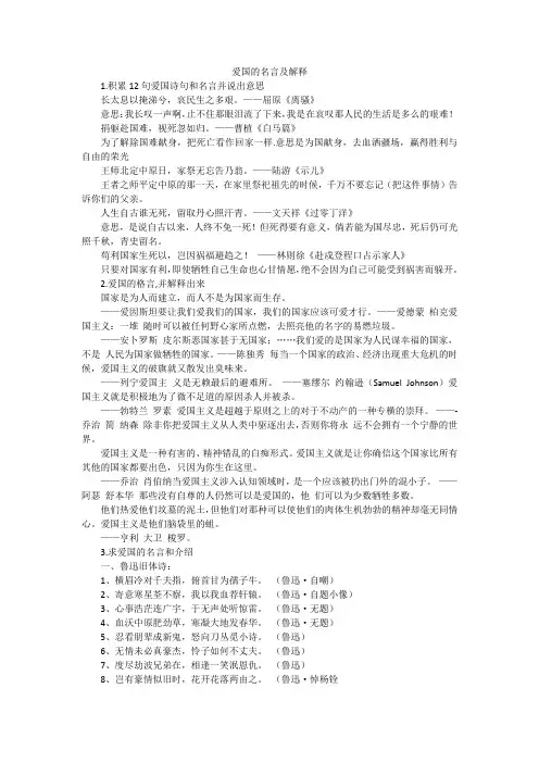 爱国的名言及解释