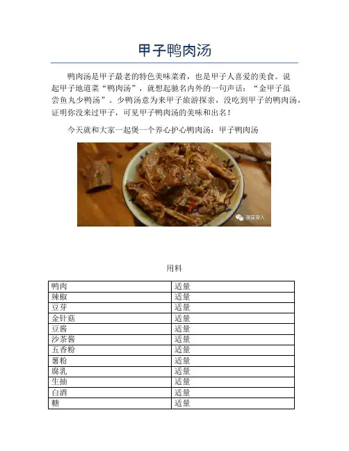 甲子鸭肉汤【精品做菜教程】
