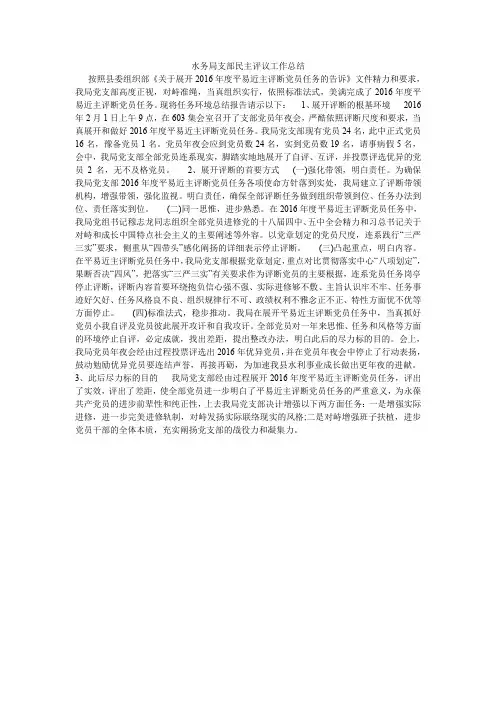 水务局支部民主评议工作总结