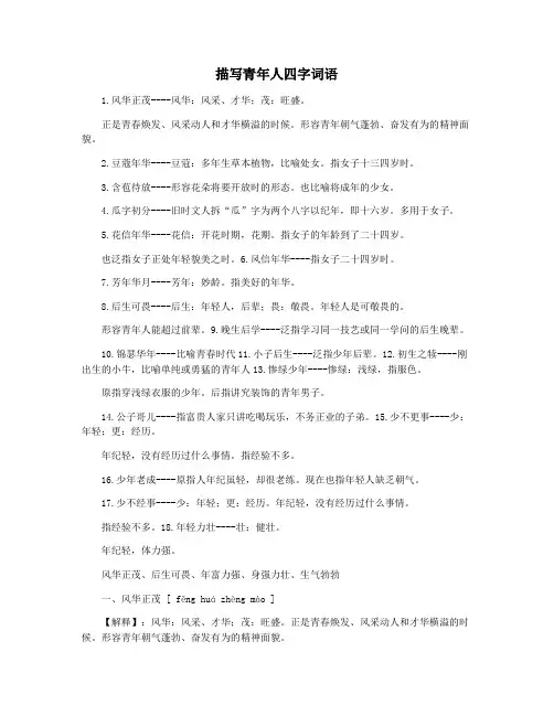 描写青年人四字词语
