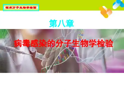 病毒感染的分子生物学检验