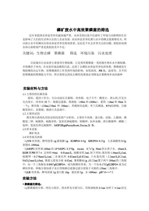 高效聚磷菌的筛选
