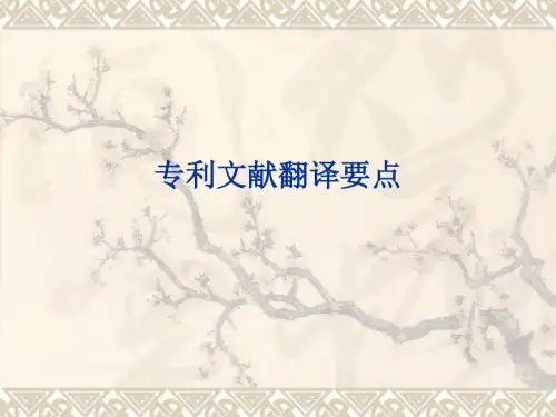 专利文献翻译要点完美版