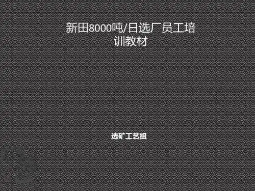 8000t╱d 选矿厂选矿工艺部分培训教材