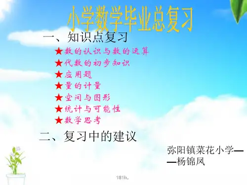 计划小学六年级数学总复习.ppt
