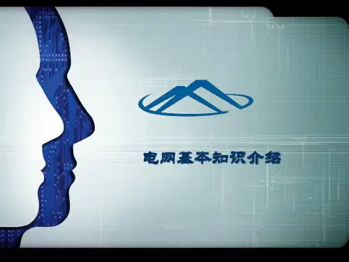 电网基本知识介绍 PPT