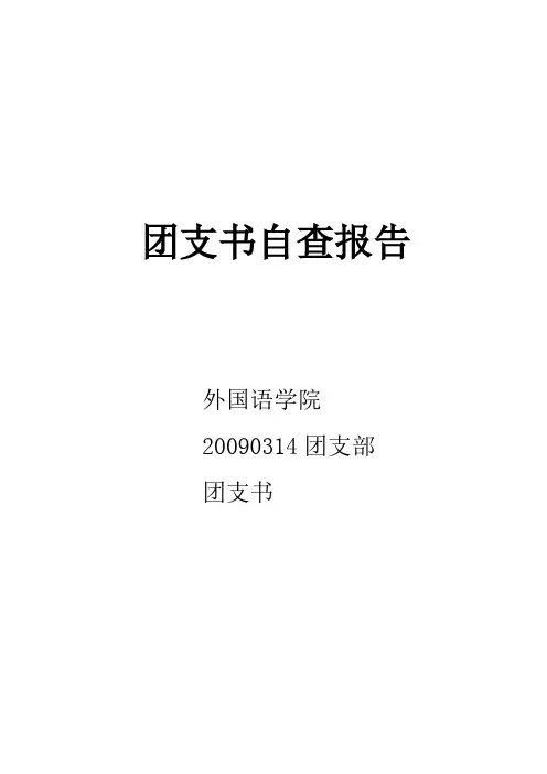 团支书自查报告
