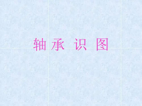 201605轴承识图