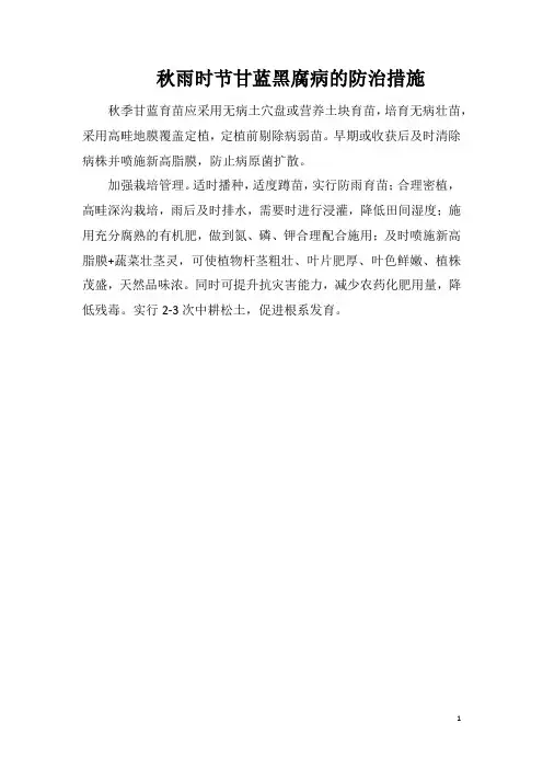 秋雨时节甘蓝黑腐病的防治措施