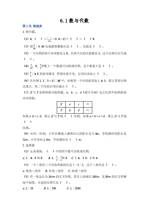 人教版小学六年级下册数学 6.1数与代数 课时练 练习试题试卷含答案(6)