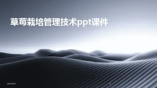 (2024年)草莓栽培管理技术ppt课件