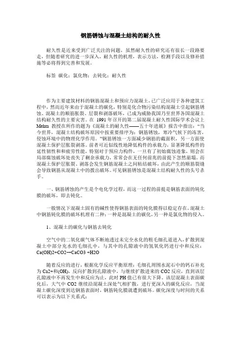 钢筋锈蚀与混凝土结构的耐久性