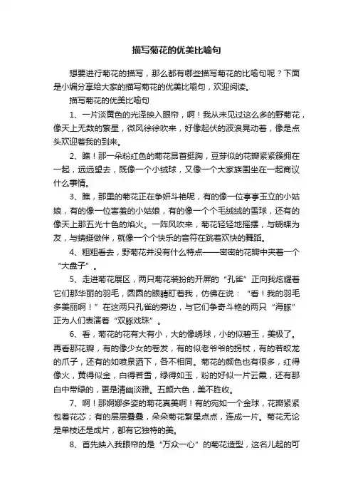 描写菊花的优美比喻句
