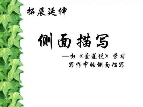 部编版人教版初一七年级语文下册《侧面描写》名师课件