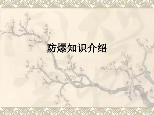 防爆知识介绍PPT课件
