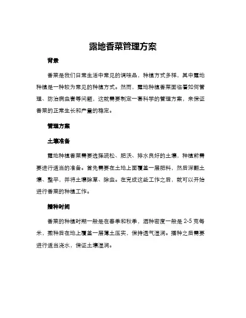 露地香菜管理方案