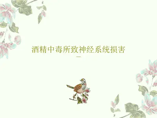 酒精中毒所致神经系统损害30页PPT